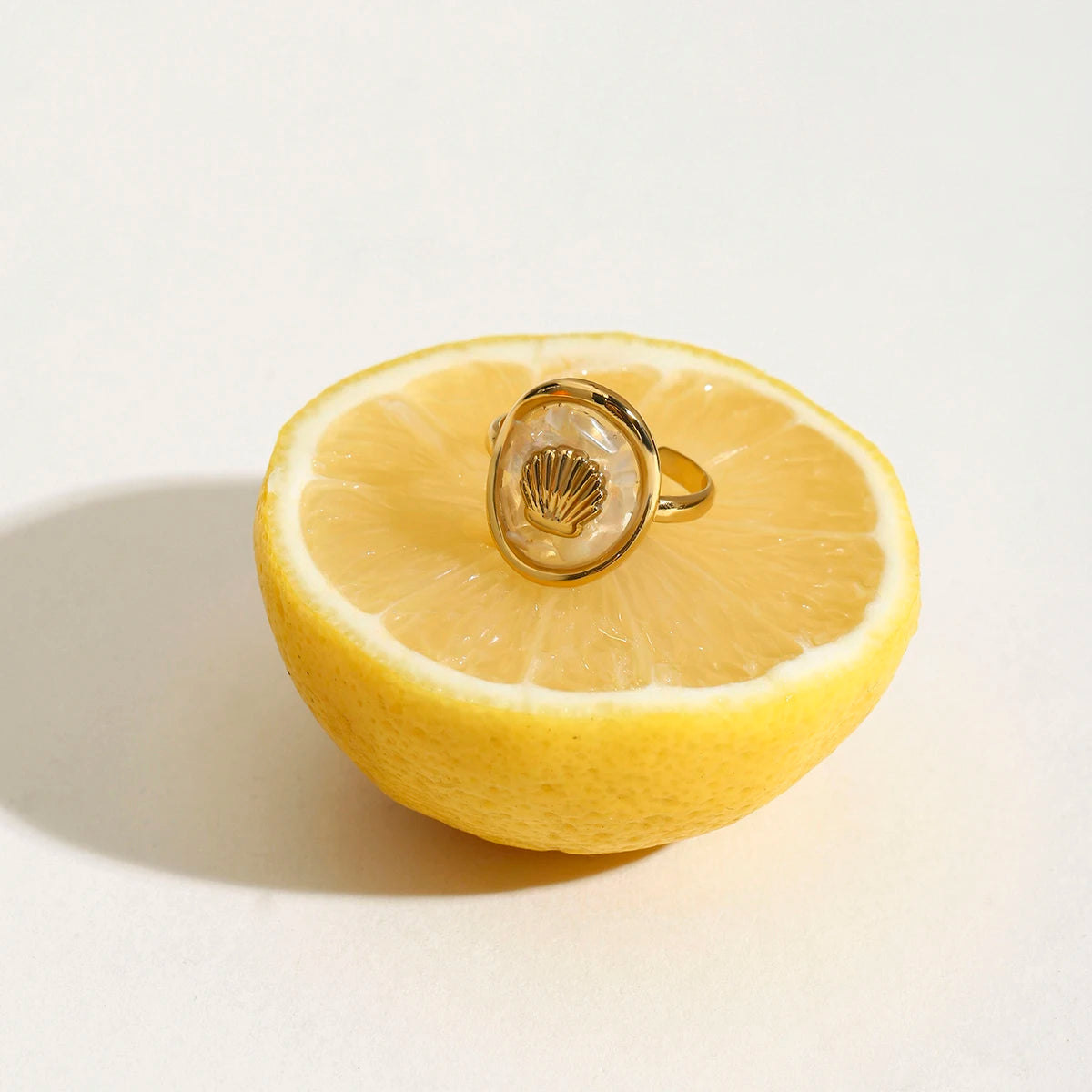 Seashell Dream