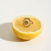 Seashell Dream